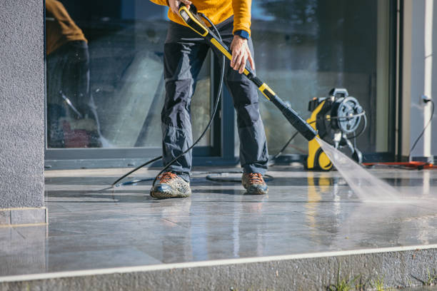 Animal Enclosure Cleaning in Ludowici, GA