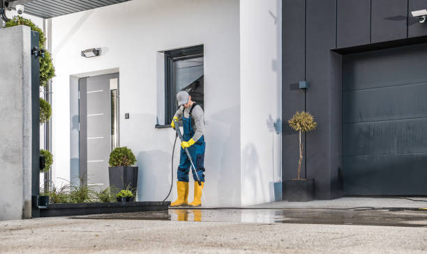 Best Graffiti Removal  in Ludowici, GA